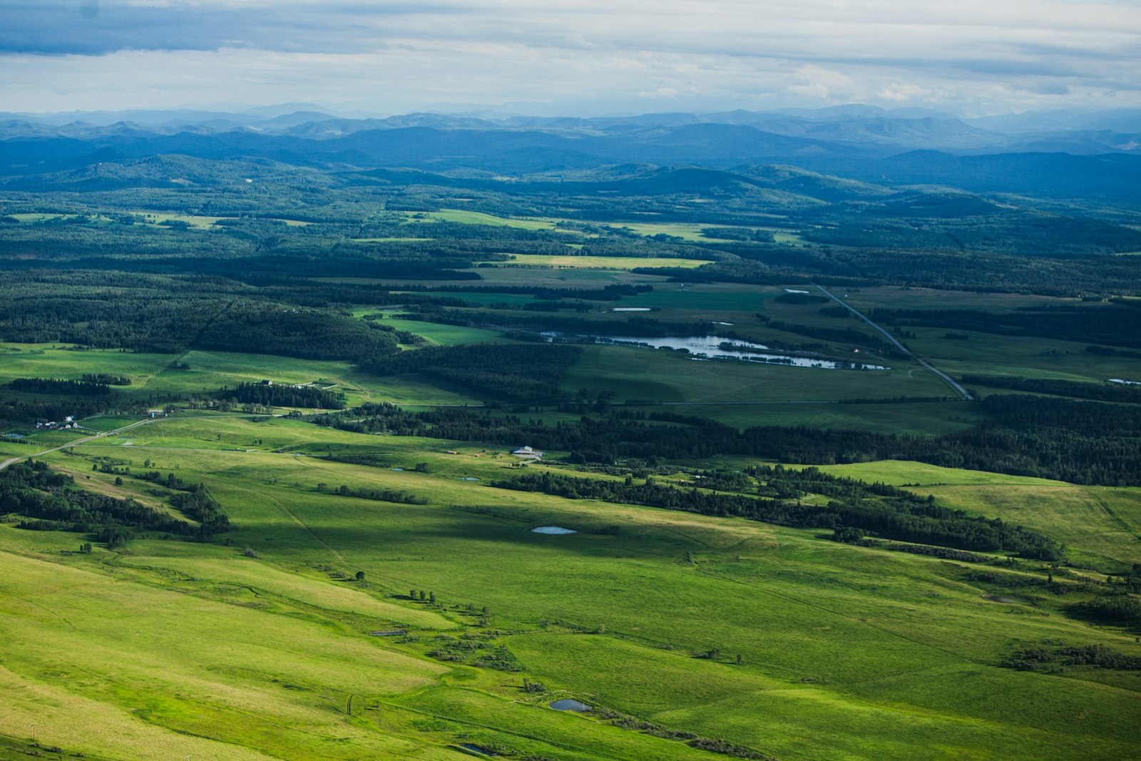 Open foothills grassland under a wide sky